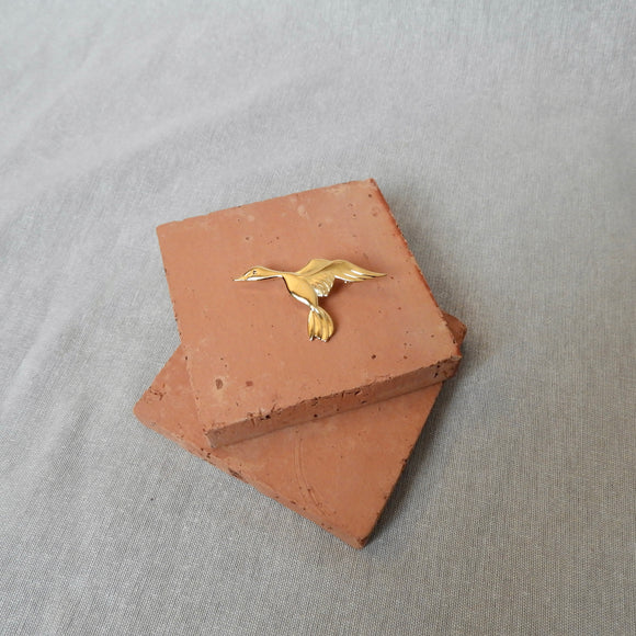Broche Oie
